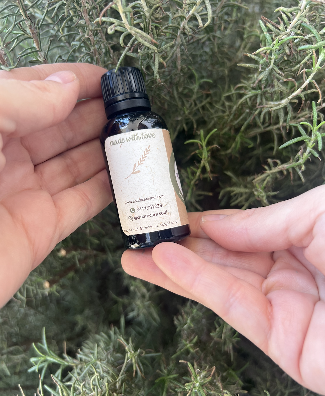 Tintura madre de Árnica